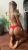 Kıyafet Fetişi Seven İstanbul Escort Bayanlar - Resim3